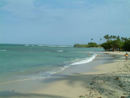 Morrocoy, VZLA