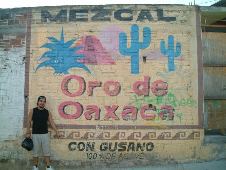 El Mezcal, especialidad de la region de Oaxaca